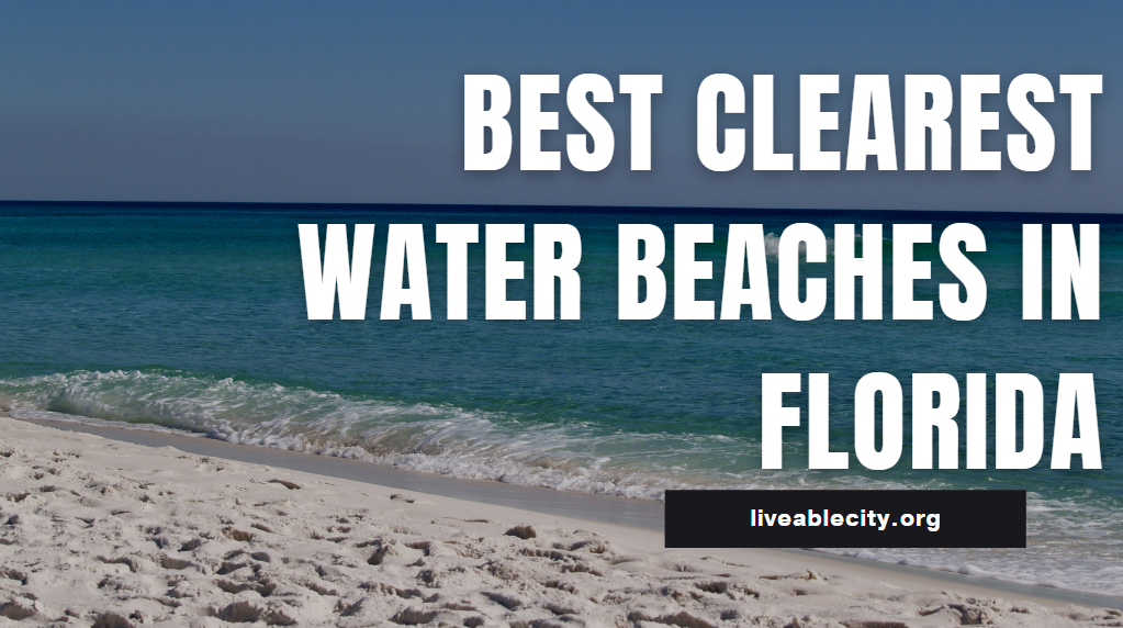 Best Clearest Water Beaches in Florida